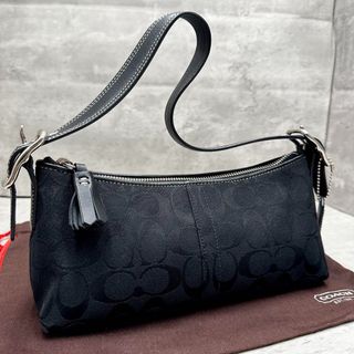 バッグ Coach Baguette Hampton Semi Demi Bag Y2K Coach y2k demi hampton - Gem