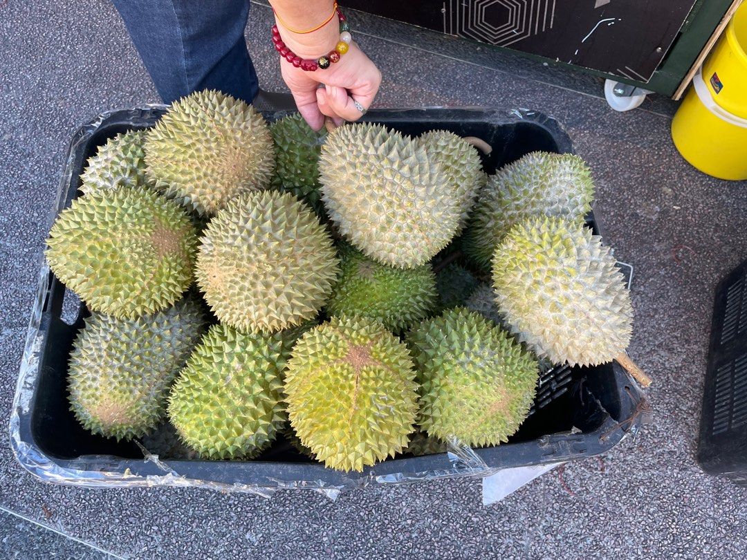 Durian Stalls at Geylang/Katong for Takeover (Category: Property - Others) located in Singapore. Submitted by dennistanby (Listing ID 1379381533, Image 2). Description: Durian stall along Tanjong Katong / Geylang Road for Takeover 1. Strategic location 2. Cheap rental 3. Durable well built durian rack with individual electrical panel 4. LED advertising lights box 5. Digital weighing machine 6. Takeover fee is included rental deposit Kindly contac