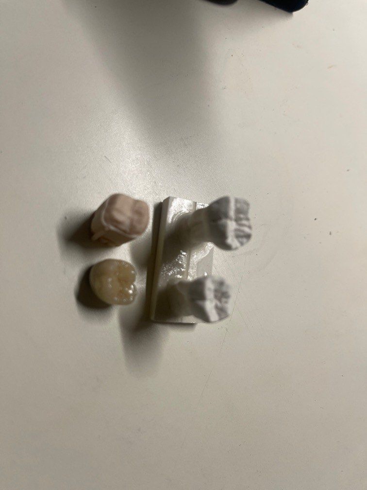 Fake teeth structures for dental students to practise (Category: Announcements) located in Singapore. Submitted by barbecuesaucee (Listing ID 1379494630, Image 1). Description: .
