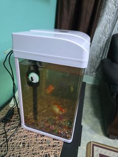 (Category: ) located in . Submitted by noorameen (Listing ID 1379452333, Image 1). Description: .