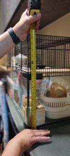 (Category: ) located in . Submitted by tanchen2 (Listing ID 1379499245, Image 1). Description: .