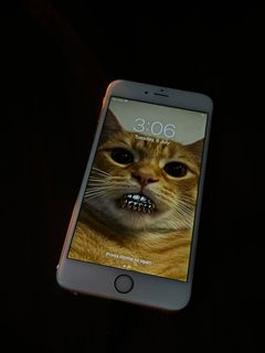 (Category: ) located in . Submitted by purged (Listing ID 1379436828, Image 1). Description: .