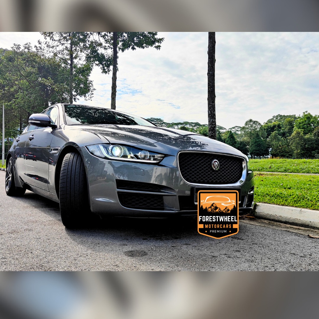 (Category: ) located in . Submitted by forestwheel (Listing ID 1379499113, Image 1). Description: .