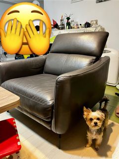 由 dustin888 (刊登 ID 1379328197，圖片 1) 提交，位於 的 (類別：)，說明：。