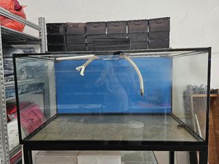 (Category: ) located in . Submitted by stanleyshlim (Listing ID 1379409219, Image 1). Description: .