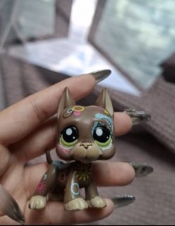 (Category: ) located in . Submitted by kkaede (Listing ID 1379437647, Image 1). Description: .