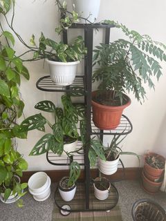 (Category: ) located in . Submitted by summer76 (Listing ID 1379425776, Image 1). Description: .
