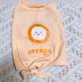 由 nonod02 (刊登 ID 1379487767，圖片 1) 提交，位於 的 (類別：)，說明：。