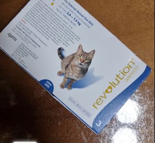 (Category: ) located in . Submitted by petstyle888 (Listing ID 1379567937, Image 1). Description: .