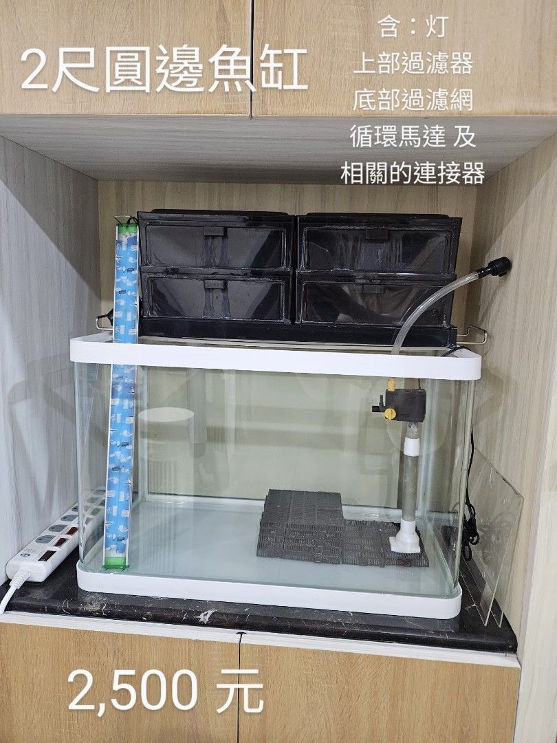 由 happy_anica (刊登 ID 1379650629，圖片 1) 提交，位於 桃園市 (Taoyuan) 的 2尺圓邊魚缸 (類別：寵物及其他)，說明：魚兒長大更換為 1 米大缸 釋出原使用的 2 尺缸 內含 照灯、上蓋、底部過濾網、循環馬達及相關的連接管、上部過濾器 此尚品需面交。