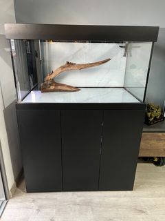 (Category: ) located in . Submitted by exotic_galleria (Listing ID 1379606009, Image 1). Description: .