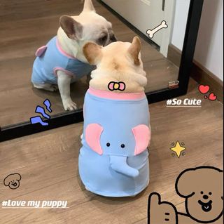 由 020821 (刊登 ID 1379537050，圖片 1) 提交，位於 的 (類別：)，說明：。