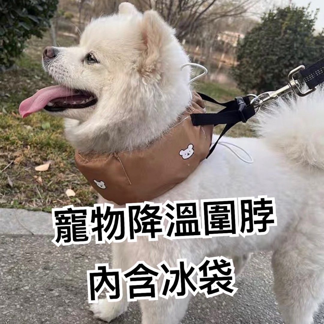 由 ploeuryyy36 (刊登 ID 1379637182，圖片 1) 提交，位於 新北市 (New Taipei) 的 狗狗降溫圍脖夏季寵物冰袋圍巾法鬥泰迪小型犬降暑圍脖狗狗冰圍巾S號 (類別：寵物及其他)，說明：夏季必備寵物降溫圍脖 內含四個可重複使用的冰袋 脖圍可調節鬆緊，可以綁牽繩 有比對過尺寸不合故售出，介意者勿下單 只有一個S號現貨，售出不退！ #寵物圍脖 #狗狗冰項圈 #狗狗冰頸圈 #寵物冰項圈。