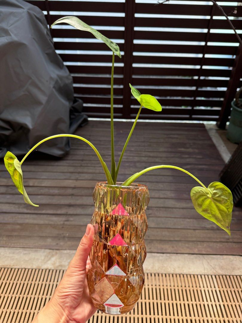 Crystal vase
