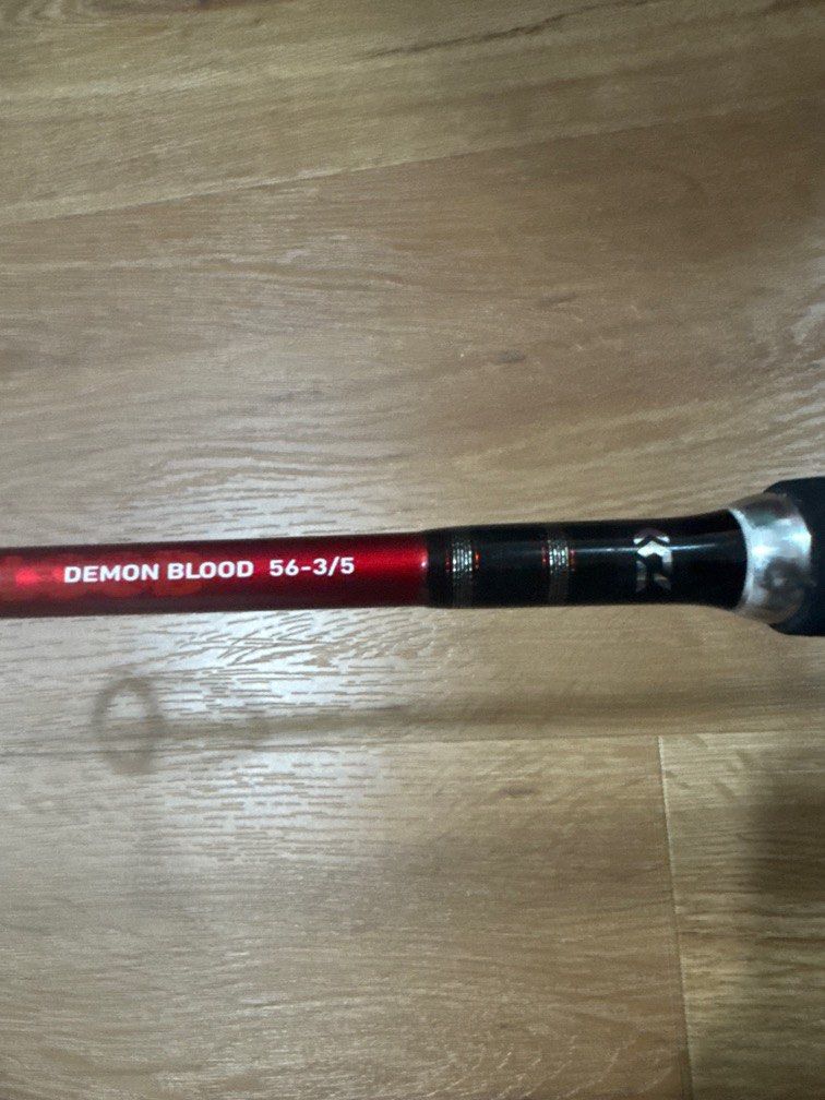 Daiwa Demon blood spinning rod, Sports Equipment, Fishing on Carousell