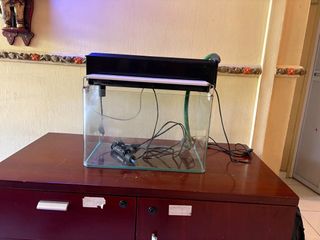 (Category: ) located in . Submitted by mahso (Listing ID 1379549586, Image 1). Description: .