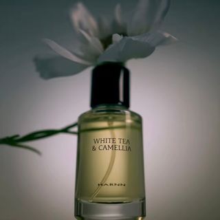 （分類：）位於 。 由 carol_lamm 提交（商品編號 1379661838，圖片 1）。簡介： 。