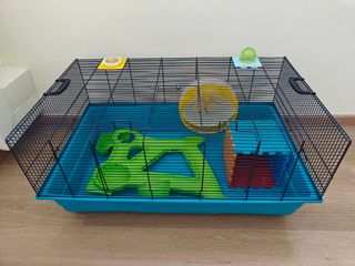(Category: ) located in . Submitted by default (Listing ID 1379704919, Image 1). Description: .