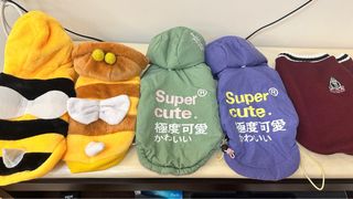 由 4v6kp8rync58574 (刊登 ID 1384209749，圖片 1) 提交，位於 的 (類別：)，說明：。
