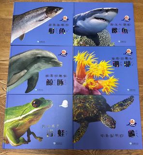 由 shitrrpp (刊登 ID 1384114812，圖片 1) 提交，位於 的 (類別：)，說明：。