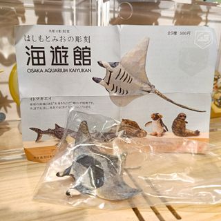 由 eating_all (刊登 ID 1384115148，圖片 1) 提交，位於 的 (類別：)，說明：。