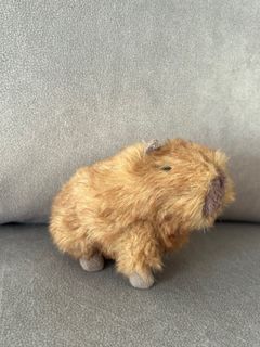 （分類：）位於 。 由 gooyi 提交（商品編號 1384160059，圖片 1）。簡介： 。