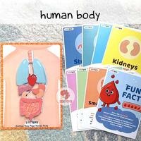(Kategori: ) berada di . Dikirim oleh babiesprlvd (ID iklan 1384053821, Gambar 1). Deskripsi: .