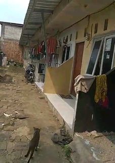 (Kategori: ) berada di . Dikirim oleh proaldy945210 (ID iklan 1384076196, Gambar 1). Deskripsi: .