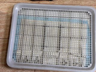 (Category: ) located in . Submitted by agnes_yip (Listing ID 1384064447, Image 1). Description: .