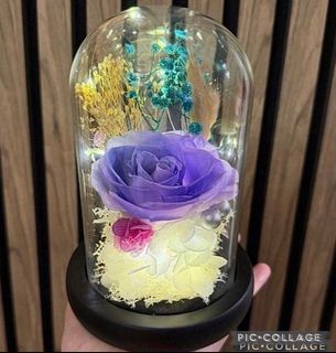 (Category: ) located in . Submitted by lovely_indulgence (Listing ID 1384231897, Image 1). Description: .