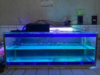 (Category: ) located in . Submitted by izaiahnicko (Listing ID 1386000477, Image 1). Description: .