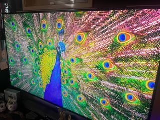 (Category: ) located in . Submitted by vastfish_de0970 (Listing ID 1385872743, Image 1). Description: .