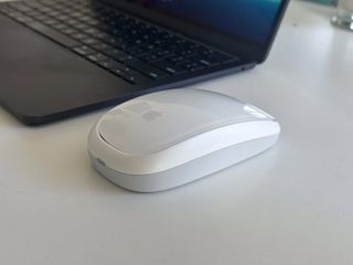 Apple Magic Mouse 264083234540418110