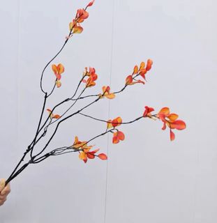 （分類：）位於 。 由 bellayy1 提交（商品編號 1385821980，圖片 1）。簡介： 。