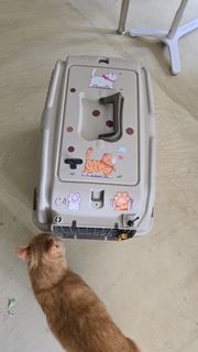 (Category: ) located in . Submitted by sheillytan80385 (Listing ID 1385838318, Image 1). Description: .