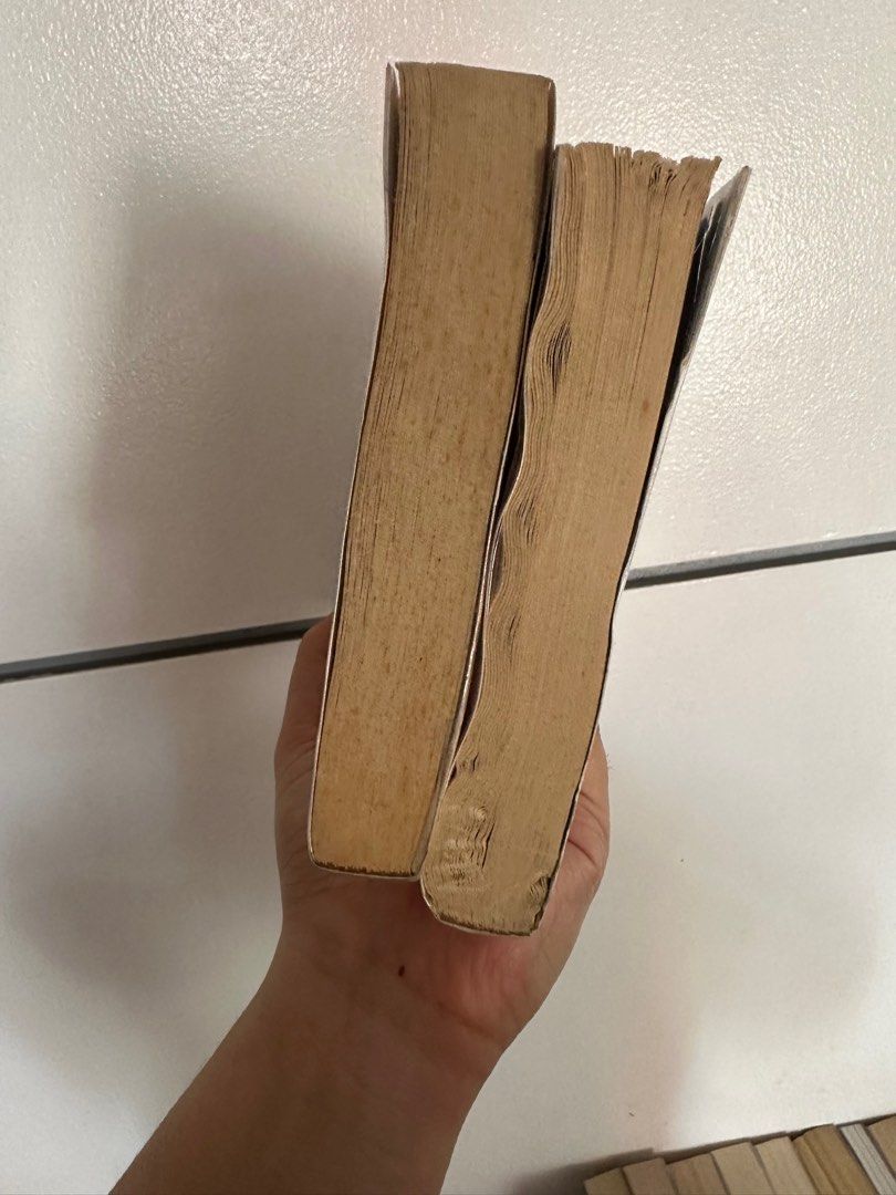 The Summer I Turned Pretty Book 1 and 2, Hobbies & Toys, Books