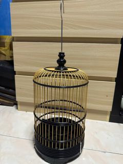 (Category: ) located in . Submitted by my5tic (Listing ID 1386147376, Image 1). Description: .