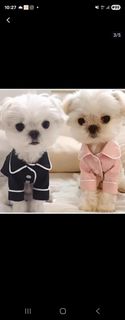 (Category: ) located in . Submitted by loveforribbons (Listing ID 1386141979, Image 1). Description: .