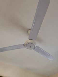 (Category: ) located in . Submitted by gpressure76 (Listing ID 1386031049, Image 1). Description: .
