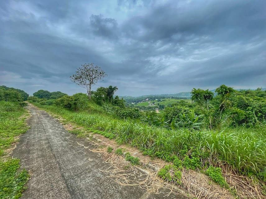 (Category: ) located in . Submitted by bianca.lawas (Listing ID 1386102219, Image 1). Description: .