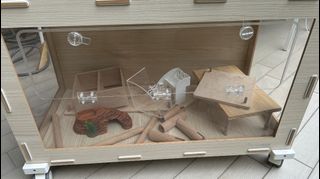 (Category: ) located in . Submitted by sjpeters (Listing ID 1386144111, Image 1). Description: .