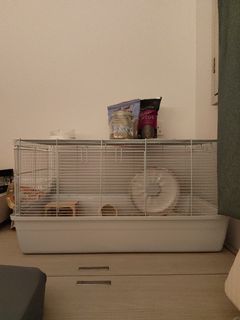 (Category: ) located in . Submitted by puperoni (Listing ID 1386334963, Image 1). Description: .