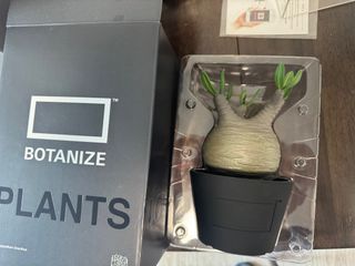 （分類：）位於 。 由 toychanger 提交（商品編號 1386356294，圖片 1）。簡介： 。