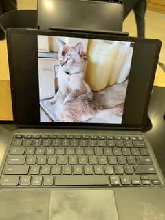 (Category: ) located in . Submitted by purerabbit.7babd5 (Listing ID 1386266452, Image 1). Description: .