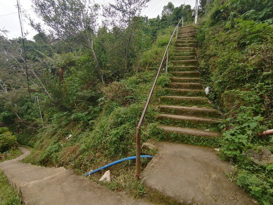 Title Ambiong LT (Category: Lot) located in La Trinidad. Submitted by saped87 (Listing ID 1386369159, Image 1). Description: 420sq.mtrs pathway only 5mins from road going to the school 7mins away from jeepney loading.