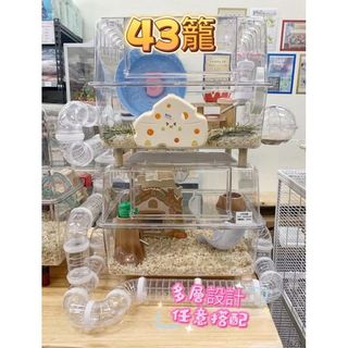 由 momoiii2023 (刊登 ID 1386534565，圖片 1) 提交，位於 的 (類別：)，說明：。
