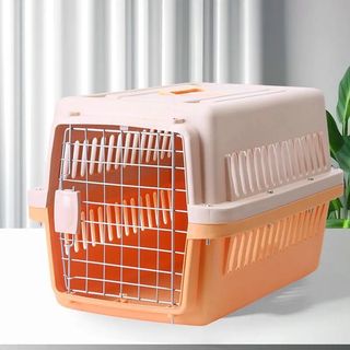（分類：）位於 。 由 .great.day. 提交（商品編號 1386440891，圖片 1）。簡介： 。