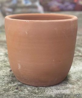 (Category: ) located in . Submitted by claudiajarsclaypots.plants (Listing ID 1386425237, Image 1). Description: .