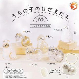 由 vjminbts0400269 (刊登 ID 1386552886，圖片 1) 提交，位於 的 (類別：)，說明：。