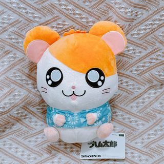（分類：）位於 。 由 donut2023 提交（商品編號 1386471346，圖片 1）。簡介： 。